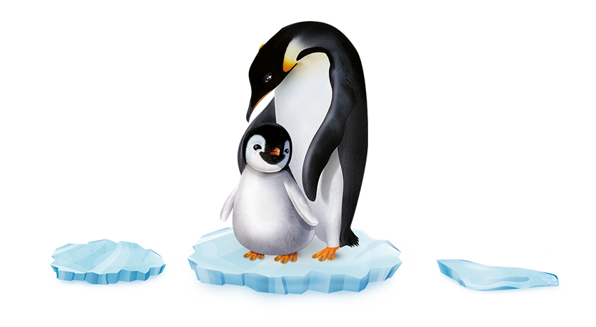 Pinguino su un banco di ghiaccio